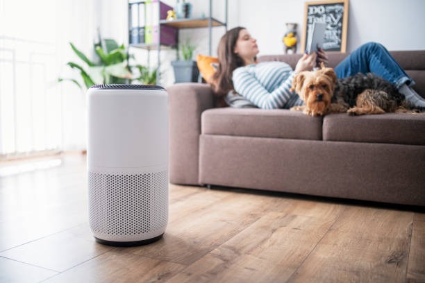 mage of a woman with a dog on a couch in a living room, with an air purifier in the foreground, addressing bad indoor air quality caused by pet dander, dust, and insufficient ventilation.